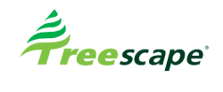 Treescape