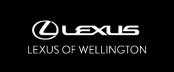 LXR Branding