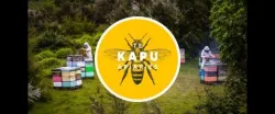 Te Kapu Apiaries