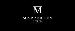 Mapperley Stud
